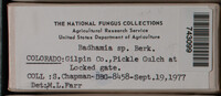 Image Associated With the Occurence